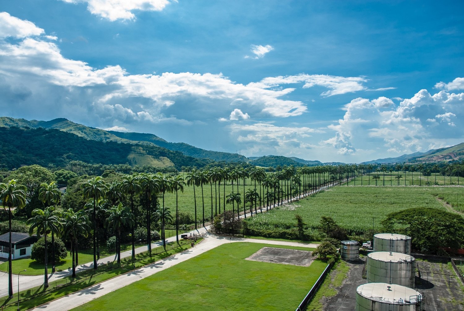 Santa Teresa | Bondston